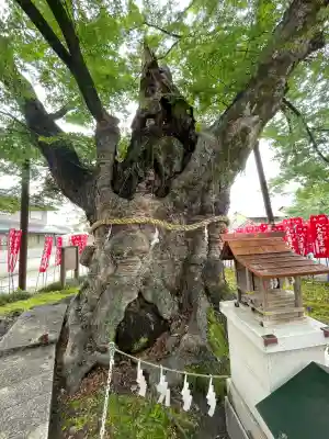秩父今宮神社(埼玉県)