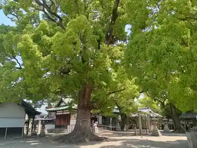 華表神社(大阪府)