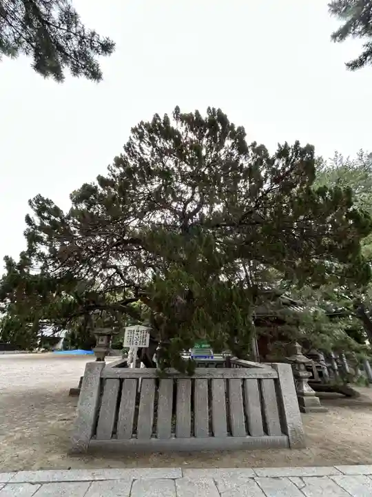 高砂神社(兵庫県)