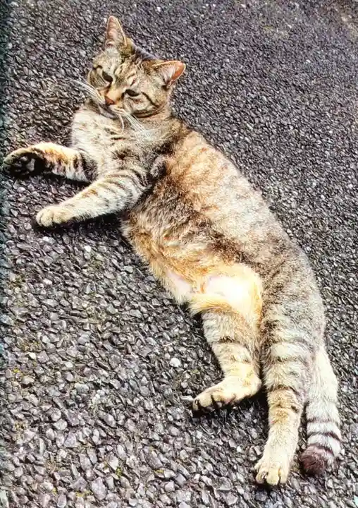 白金氷川神社(東京都)