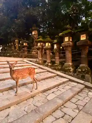 春日大社(奈良県)