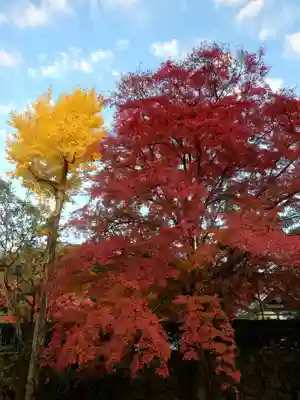 南禅寺(京都府)