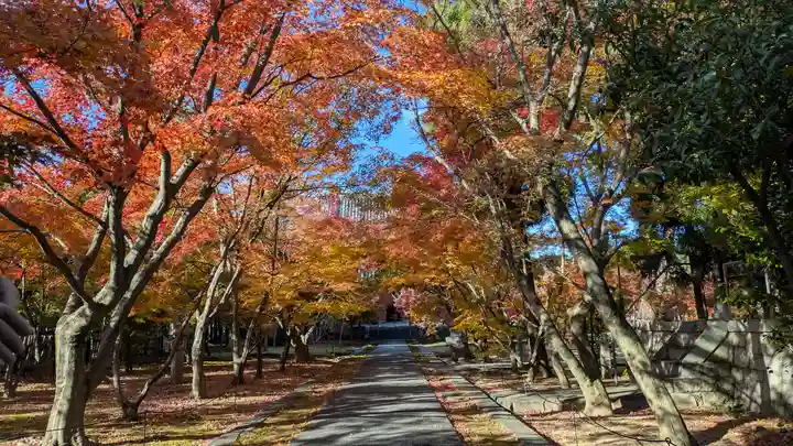 興聖寺(京都府)