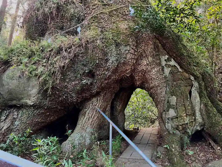 東霧島神社(宮崎県)