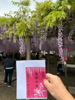 行興寺の{uncategorized: "未分類", other: "その他", undefined: "問題あり", building: "その他建物", grave: "お墓", sacred_gate: "鳥居", guardian: "狛犬", statue: "像", buddha: "仏像", history: "歴史", nature: "自然", garden: "庭園", animal: "動物", pagoda: "塔", temizu: "手水舎", mountain_gate: "山門・神門", sanctuary: "本殿・本堂", subordinate: "末社・摂社", art: "芸術", scenery: "景色", jizo: "地蔵", ema: "絵馬", goshuin: "御朱印", omikuji: "おみくじ", items: "授与品その他", amulet: "お守り", goshuincho: "御朱印帳", eats: "食事", festival: "お祭り", votive_dance: "神楽", shichigosan: "七五三参", wedding: "結婚式", experience: "体験その他", initially: "初詣", around: "周辺", anti_infection: "感染症対策"}