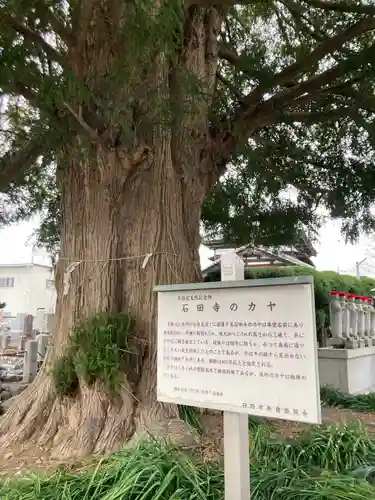 石田寺(東京都)