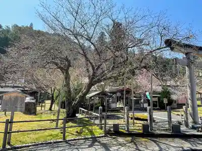 春日神社(京都府)