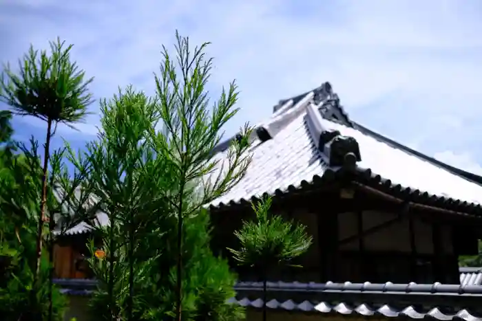 定林寺の建物その他