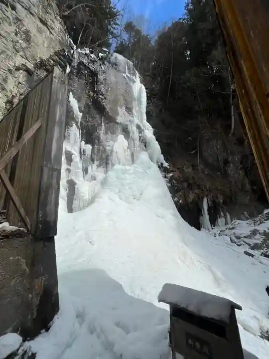 上尾御嶽神社の自然