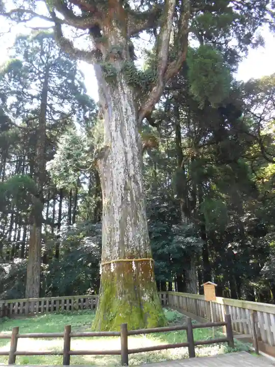 霧島神宮(鹿児島県)