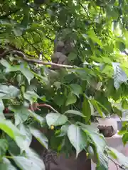 元三島神社(東京都)