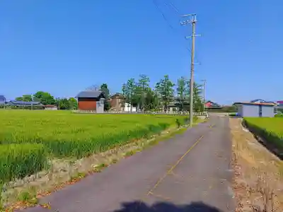 八幡社(馬ケ地)の自然