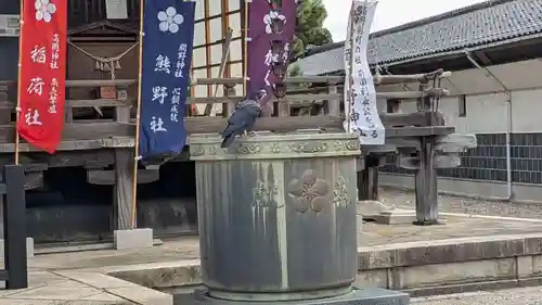 高岡関野神社の動物