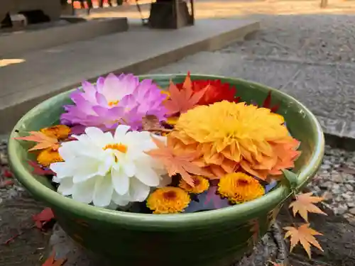 滑川神社 - 仕事と子どもの守り神の手水