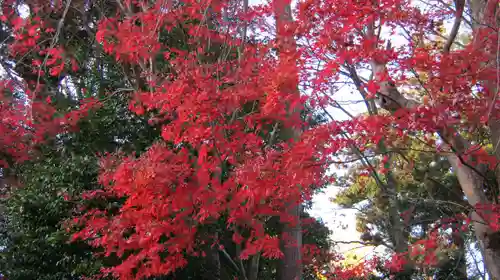 鵜川神社の庭園