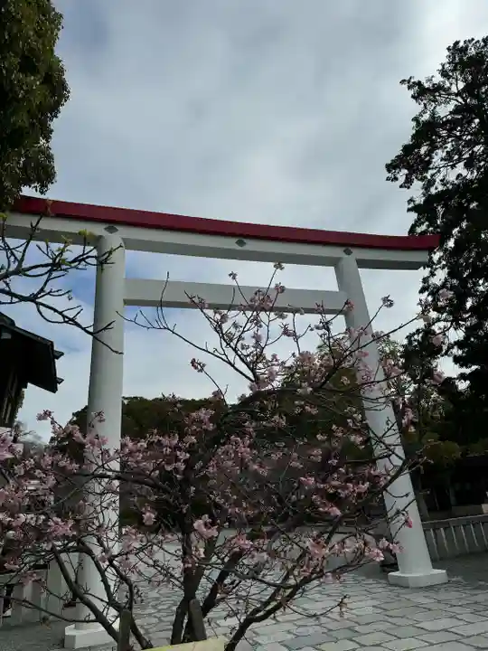 鎌倉宮(神奈川県)