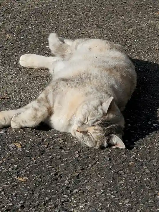熊野神社の動物