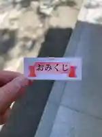 武田神社のおみくじ