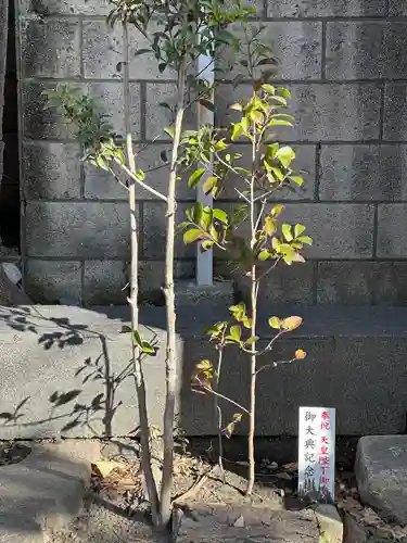 殿町水神社（水神宮）(神奈川県)