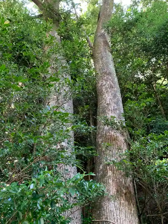 三寳大荒神社の自然