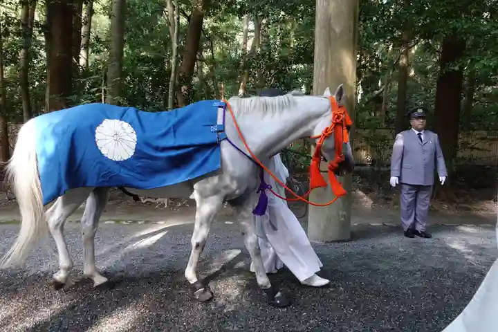 伊勢神宮外宮(豊受大神宮)の動物