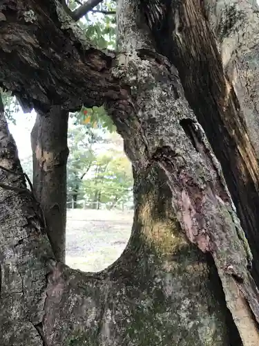 勝日高守神社のその他建物