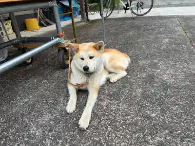 神光寺(徳島県)