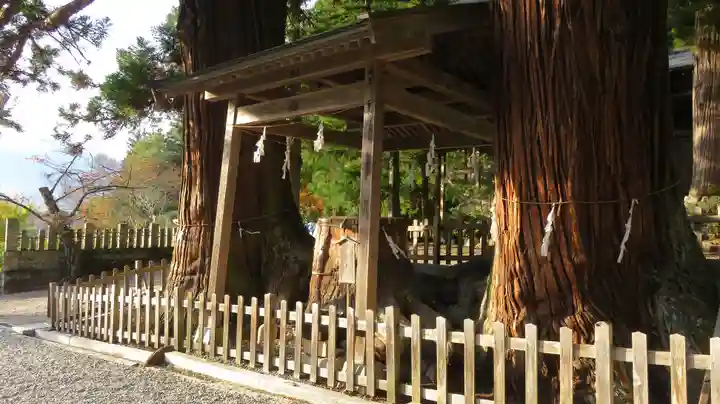 仁科神明宮の神楽