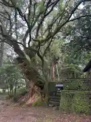 都萬神社(宮崎県)