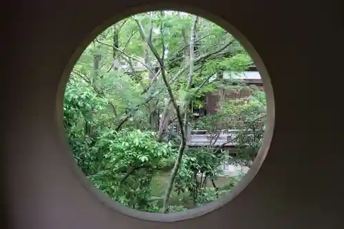 善法律寺(京都府)