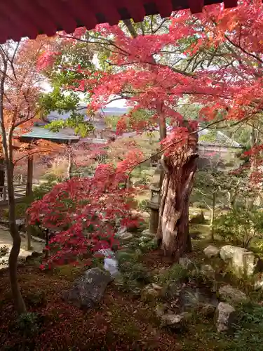 大覚寺の庭園