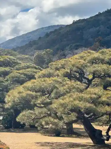 伊勢神宮内宮（皇大神宮）(三重県)