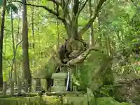 磐神社のその他建物