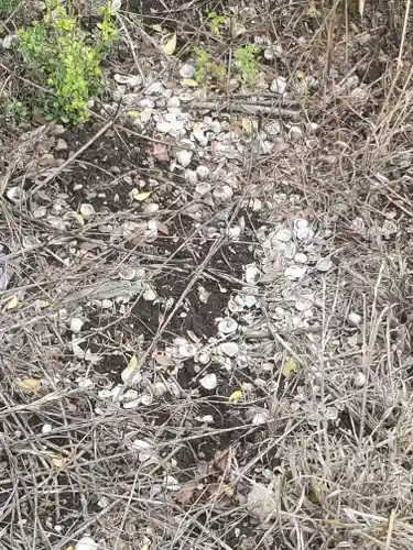 篠山神社(栃木県)