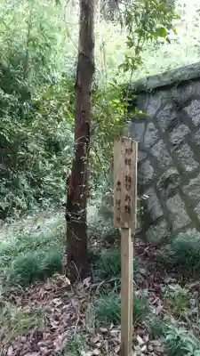 白山神社の歴史