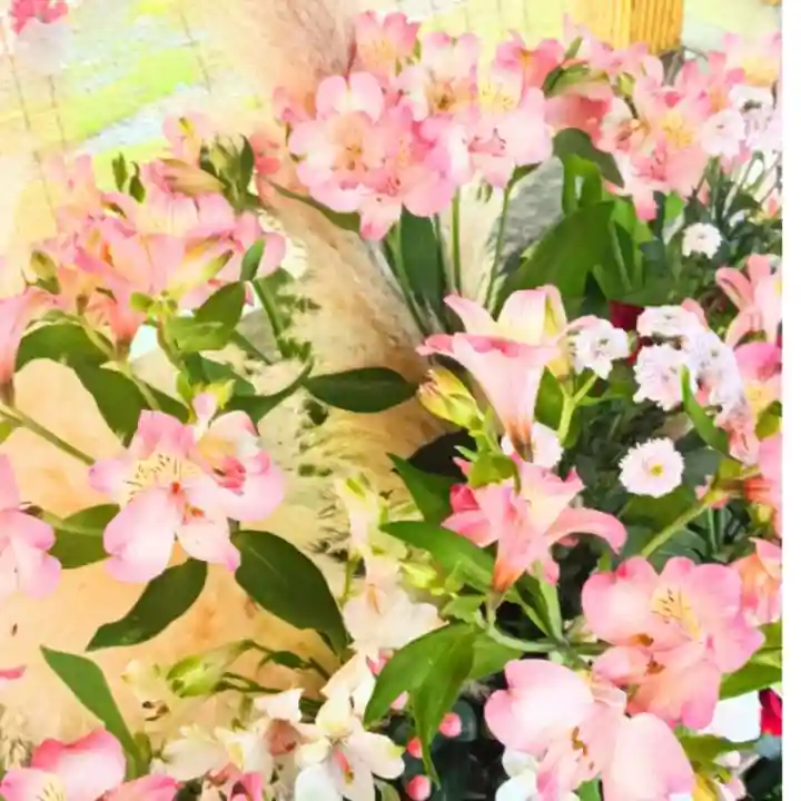 彌彦神社 (伊夜日子神社)の手水舎