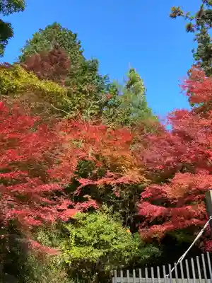 柳谷観音　楊谷寺(京都府)
