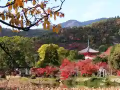 大覚寺の建物その他