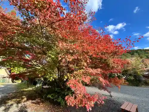 柳谷観音　楊谷寺(京都府)