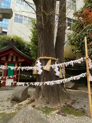 日本橋日枝神社(東京都)