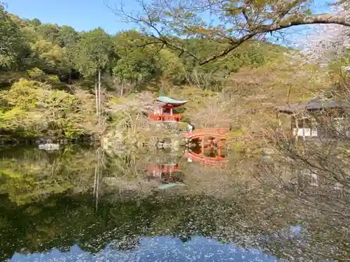 醍醐寺の庭園