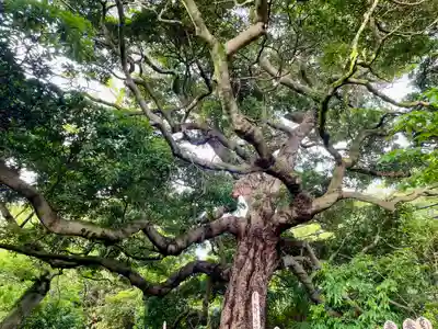 長生院(神奈川県)