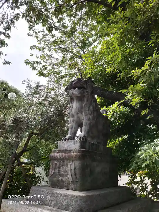 芝東照宮の狛犬