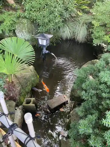 真福寺の庭園