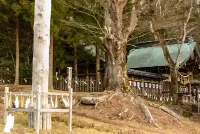 諏訪大社上社前宮(長野県)