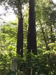 側高神社(千葉県)