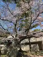 伊勢の国 四天王寺の自然