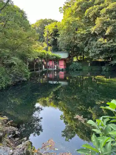 富士山本宮浅間大社(静岡県)