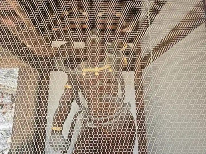 京善寺(大阪府)