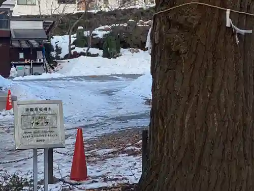 住吉神社(岩手県)